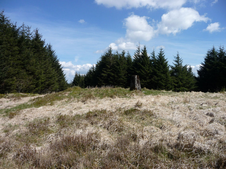 Image of Mynydd Tynewydd (Cairn(s)) by thesweetcheat