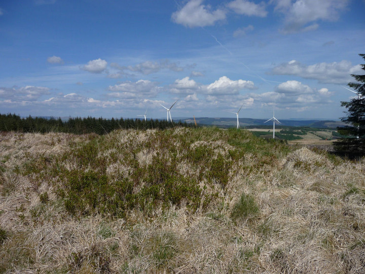 Image of Mynydd Tynewydd (Cairn(s)) by thesweetcheat