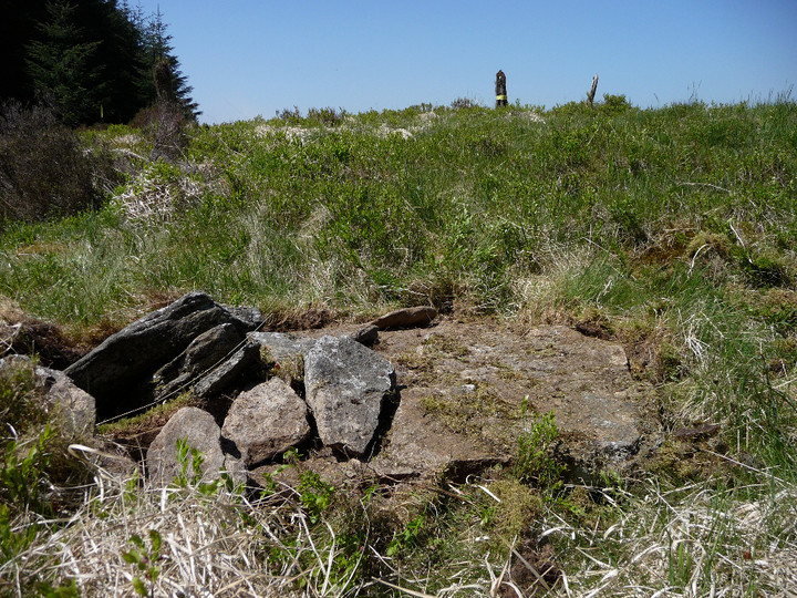 Image of Carn-y-Wiwer (Glyncorrwg) (Round Cairn) by thesweetcheat