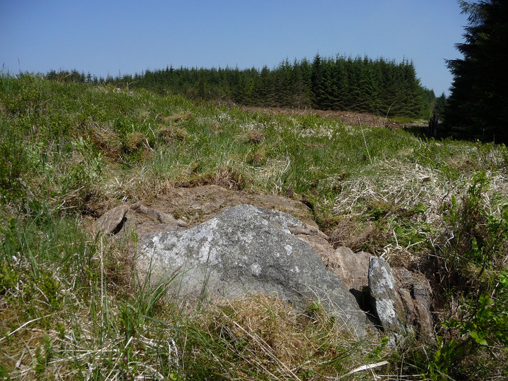 Image of Carn-y-Wiwer (Glyncorrwg) (Round Cairn) by thesweetcheat