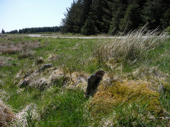 Image of Mynydd Blaengwynfi (Cairn(s)) by thesweetcheat