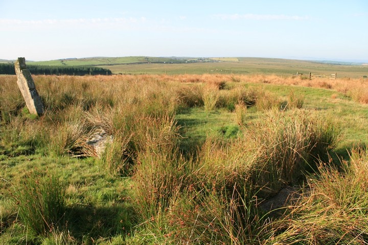 Image of Stripple Stones (Stone Circle) by postman