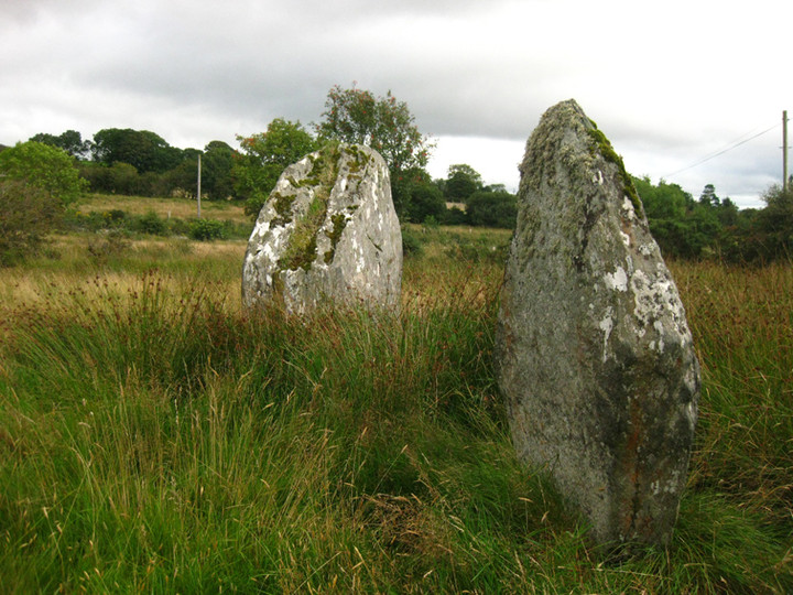 Image of Barnes Lower (Cup and Ring Marks / Rock Art) by ryaner