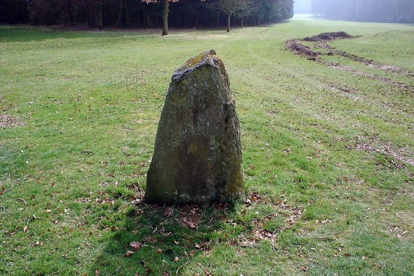 Image of Camperdown (Standing Stone / Menhir) by nickbrand