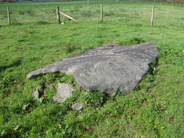 Image of Dunadd II (Standing Stone / Menhir) by new abbey
