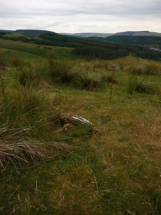 Image of Mynydd Pen-y-Graig (Cairn(s)) by thesweetcheat