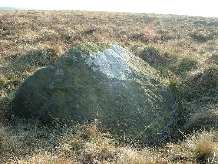 Image of Little Badger Stone (Cup and Ring Marks / Rock Art) by Chris Collyer