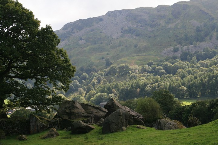 Image of Copt Howe (Cup and Ring Marks / Rock Art) by postman