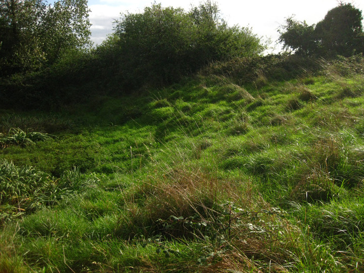 Image of Monknewtown Pond (Enclosure) by ryaner