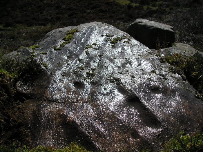 Image of Craig Hill (Cup and Ring Marks / Rock Art) by tiompan