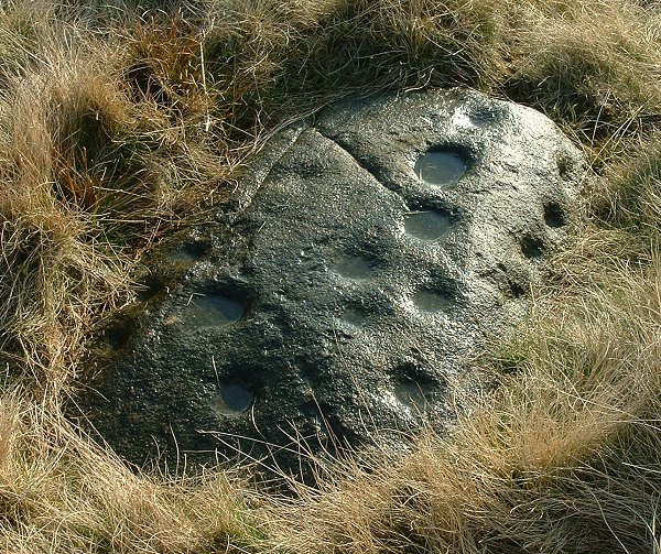 Image of Baildon Stone 3 (Cup Marked Stone) by Chris Collyer