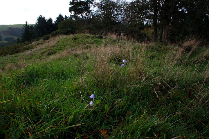 Image of Fron Camp (Hillfort) by GLADMAN