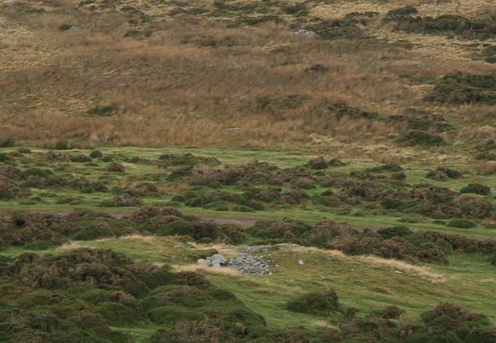 Image of Cairn, NNW of Foel Ganol (Cairn(s)) by postman