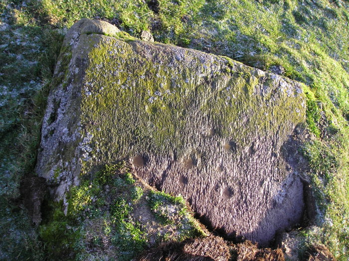 Image of Corrymuckloch (Cup and Ring Marks / Rock Art) by tiompan