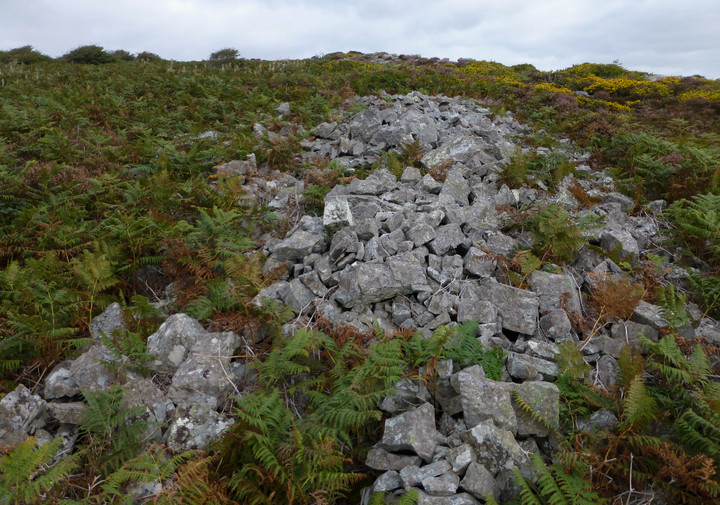 Image of Morfa Bychan long cairn by thesweetcheat