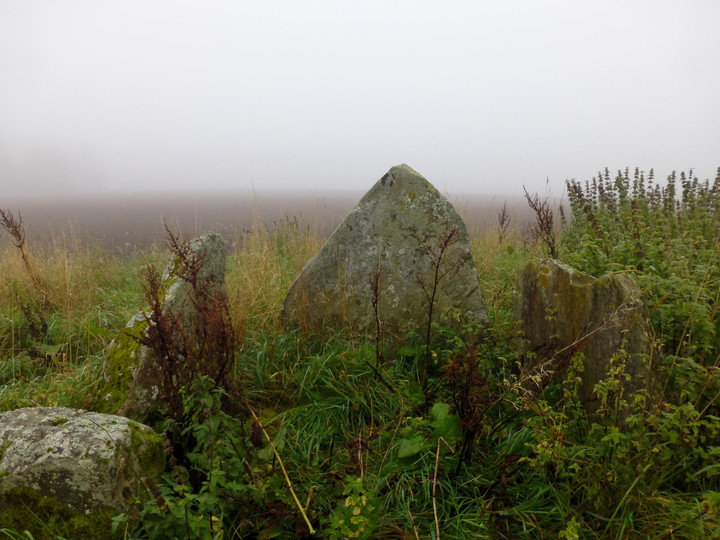 Image of Belmaduthy (Chambered Cairn) by thesweetcheat