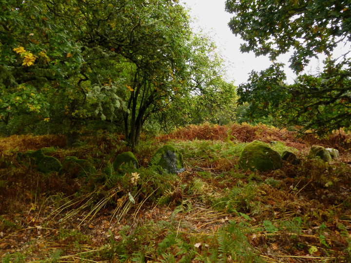 Image of Belladrum (North) (Clava Cairn) by thesweetcheat