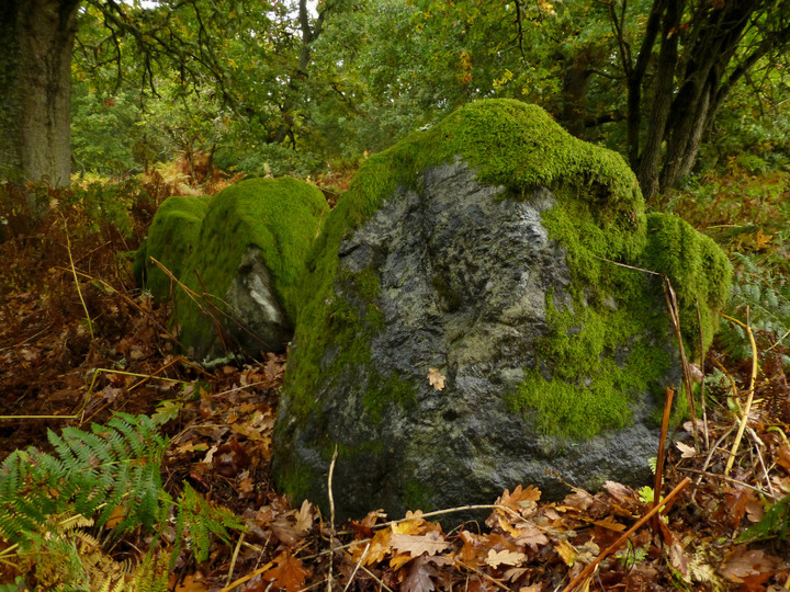 Image of Belladrum (North) (Clava Cairn) by thesweetcheat