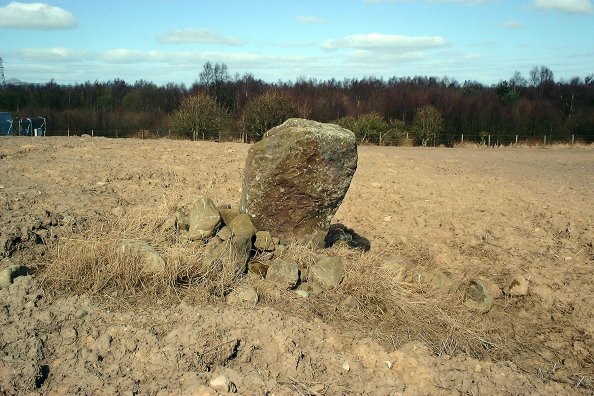 Image of Earlseat (Standing Stone / Menhir) by nickbrand