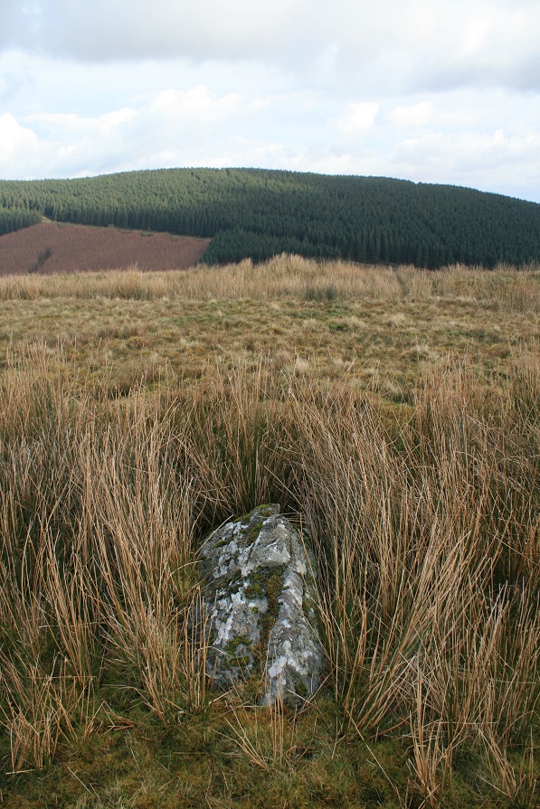 Image of Cerrig Cynant (Stone Circle) by postman