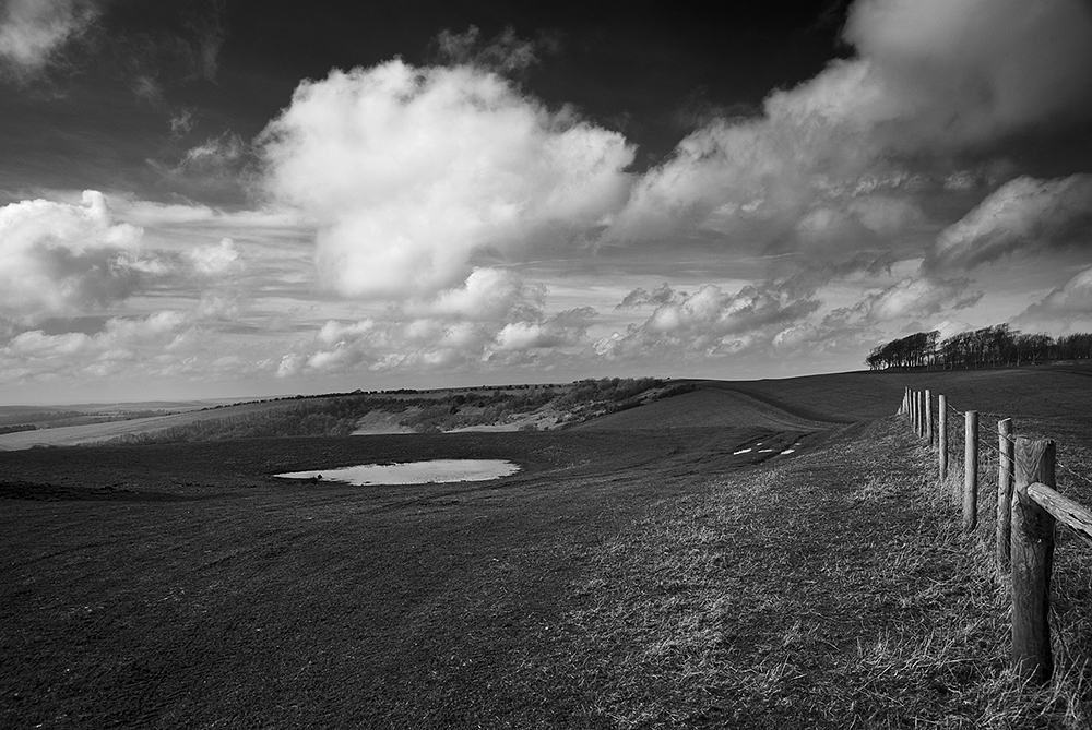 Image of Chanctonbury Ring (Hillfort) by A R Cane