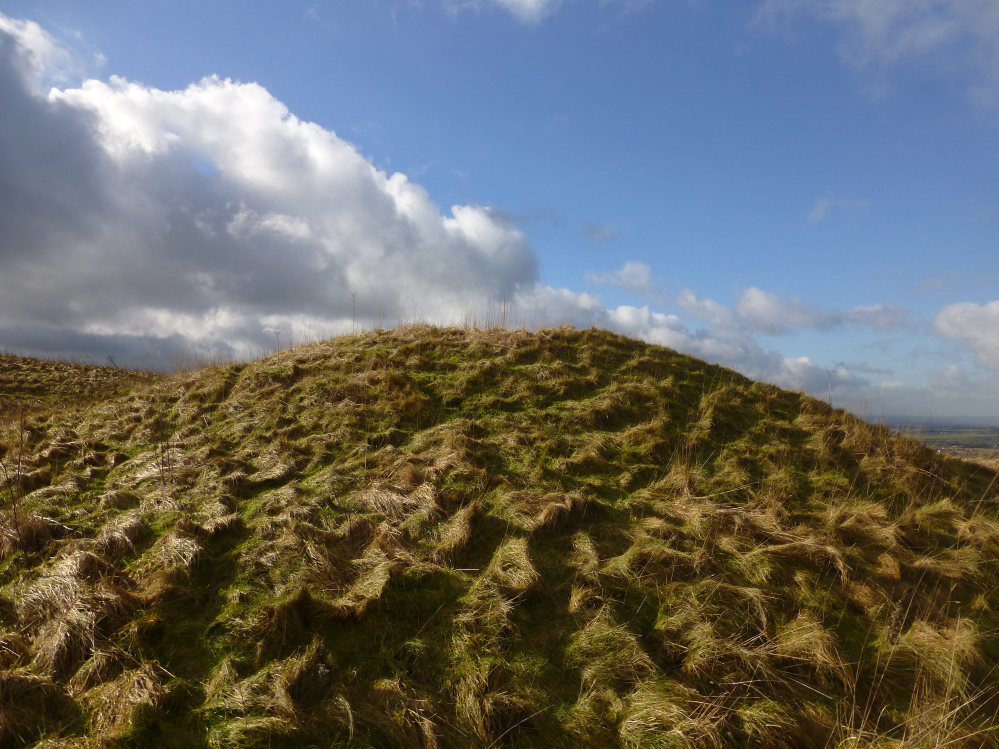 Image of Morgan’s Hill (Round Barrow(s)) by thesweetcheat