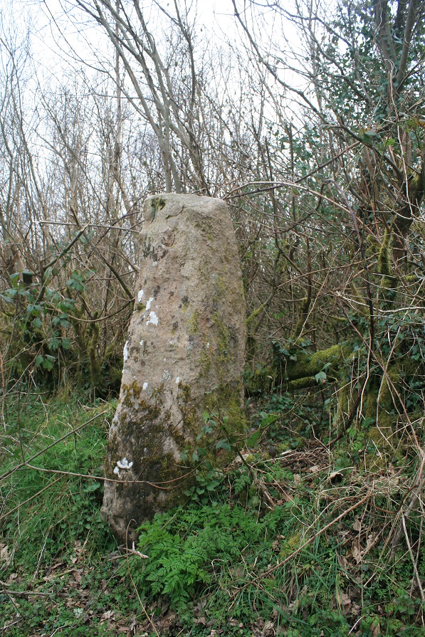 Image of Sythfaen (Standing Stone / Menhir) by postman