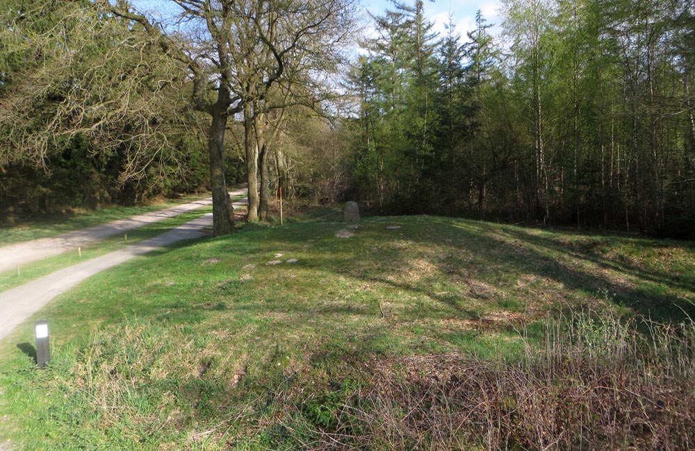 Image of Galgenberg (Strubben-Kniphorstbos) (Round Cairn) by LesHamilton