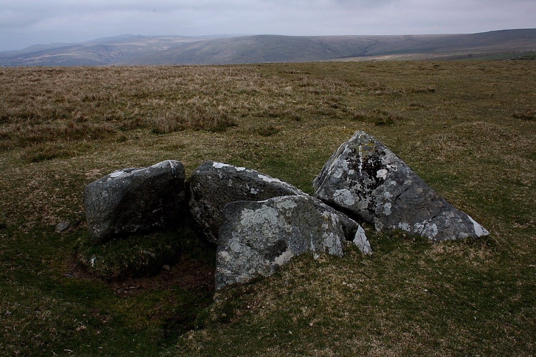 Image of White Tor East (Cist) by GLADMAN