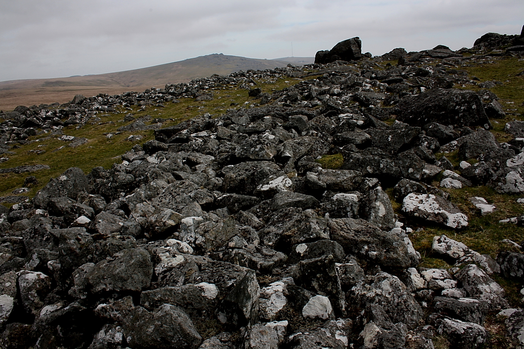Image of White Tor Settlement by GLADMAN