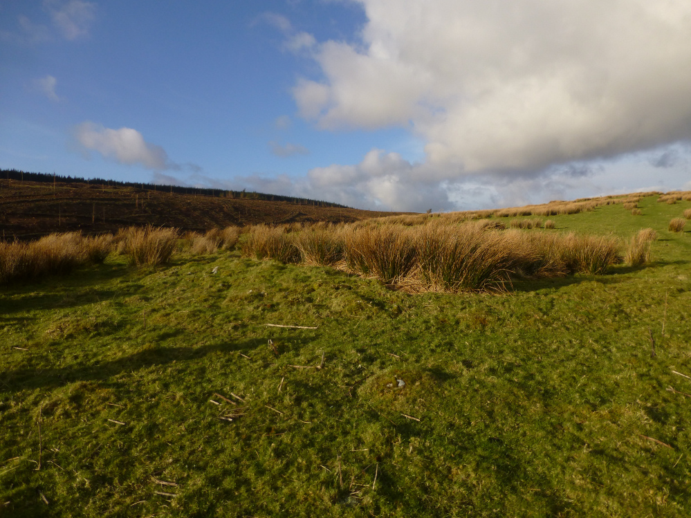 Image of Bryn-Poeth-Uchaf North (Ring Cairn) by thesweetcheat