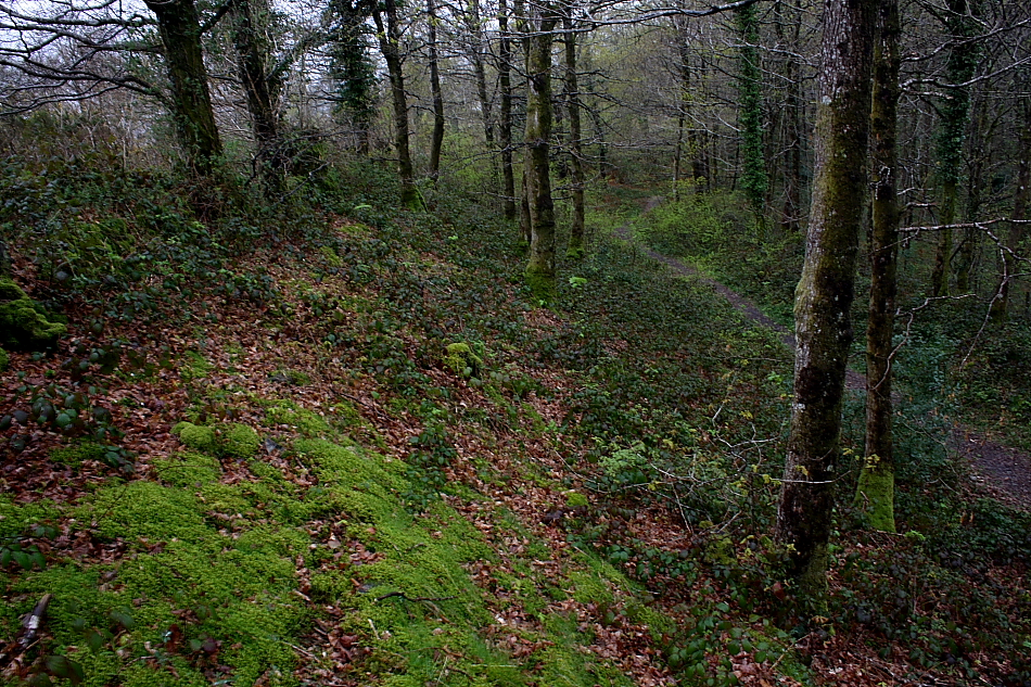Image of Hembury Castle (Hillfort) by GLADMAN
