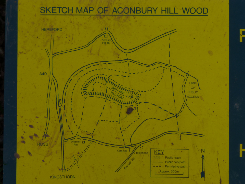 Image of Aconbury (Hillfort) by thesweetcheat