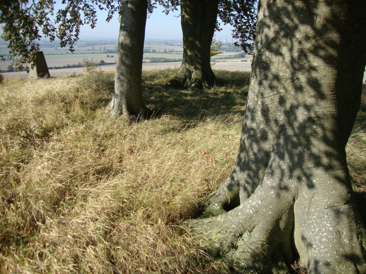 Image of Brightwell Barrow (Round Barrow) by Chance