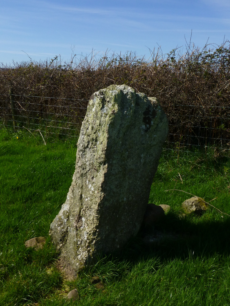 Image of Burry Standing Stones by thesweetcheat