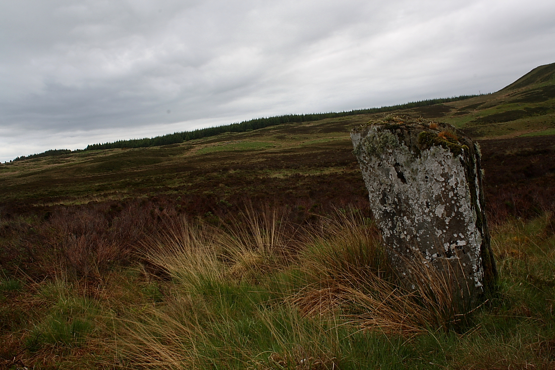 Image of Dorrery (Standing Stone / Menhir) by GLADMAN