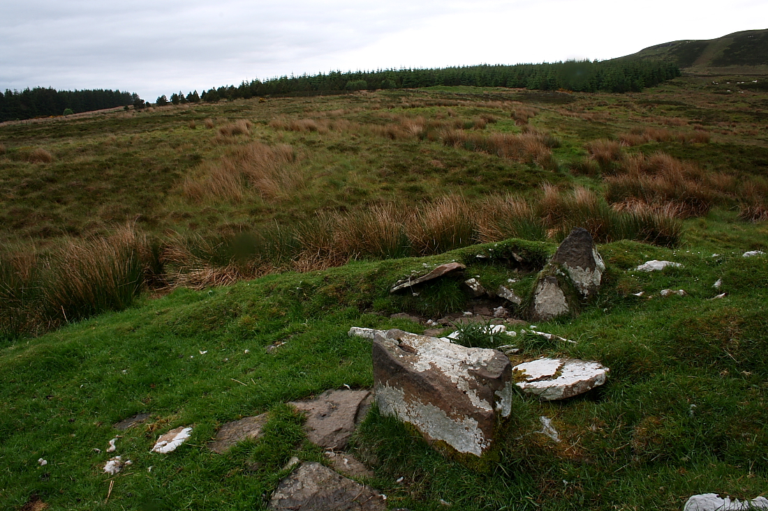 Image of Dorrery (Chambered Cairn) by GLADMAN