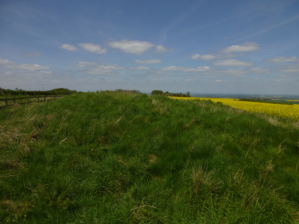 Image of Pewitt Farm Barrow (Round Barrow) by thesweetcheat