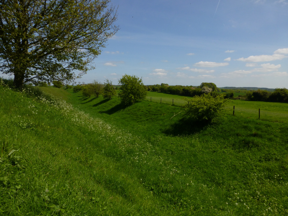 Image of Segsbury Camp (Hillfort) by thesweetcheat