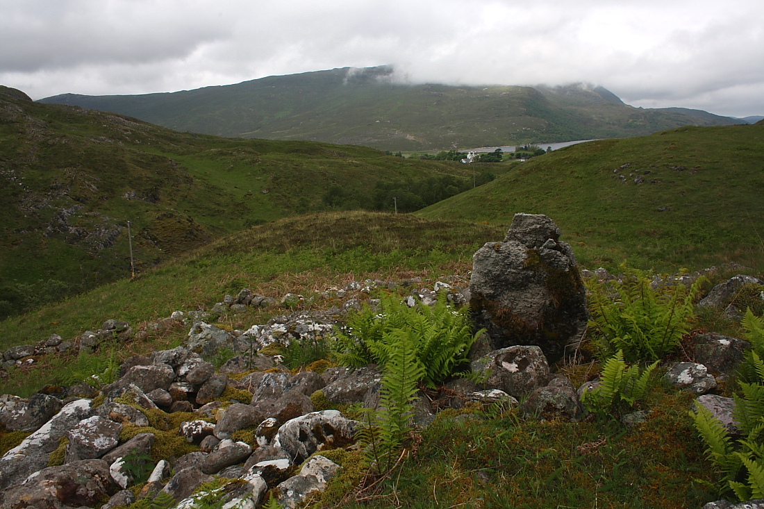 Image of Carrachan Dubh, Inchnadamph (Chambered Cairn) by GLADMAN