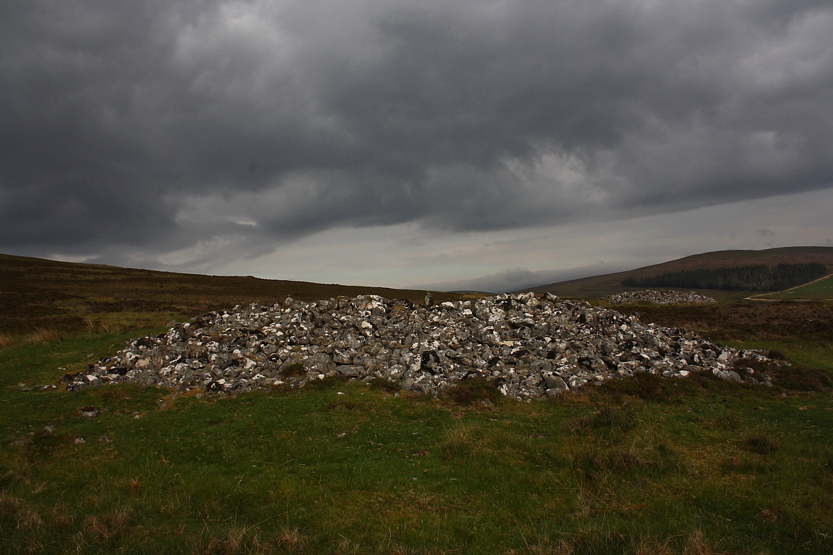 Image of Creag Nan Caorach, Kinbrace (Chambered Cairn) by GLADMAN