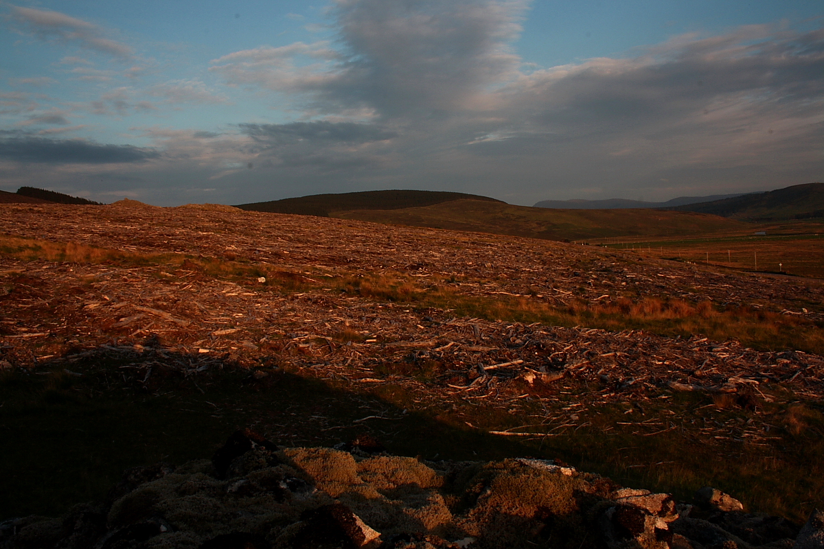Image of Kinbrace Hill (Chambered Cairn) by GLADMAN