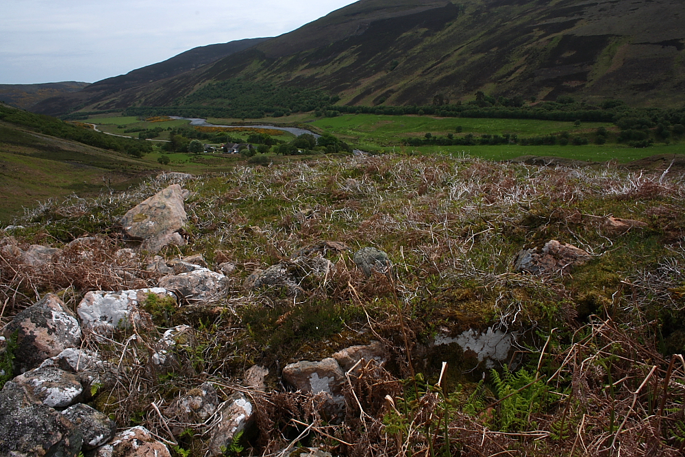 Image of Kilphedir (Chambered Cairn) by GLADMAN
