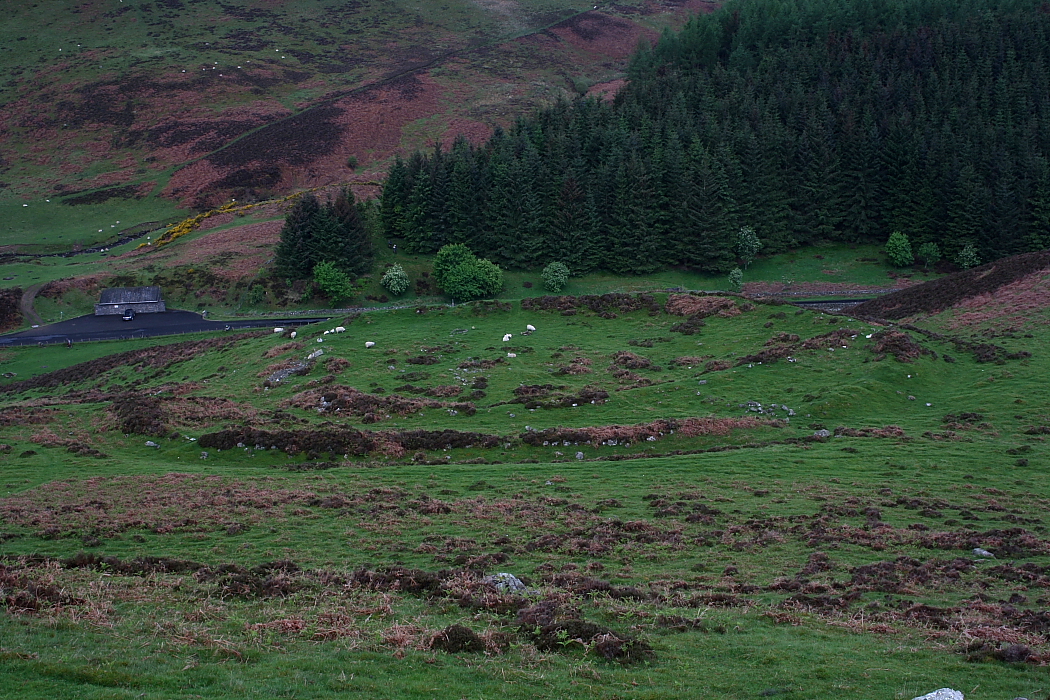 Image of Meldon Burn (Ancient Village / Settlement / Misc. Earthwork) by GLADMAN