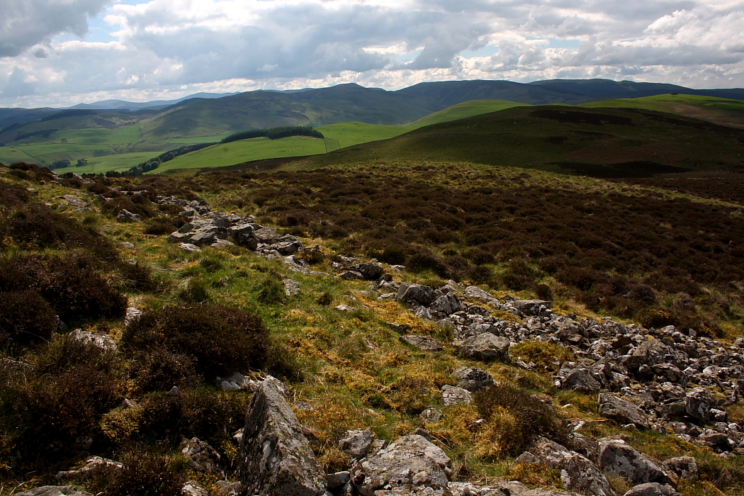 Image of Black Meldon Fort (Hillfort) by GLADMAN