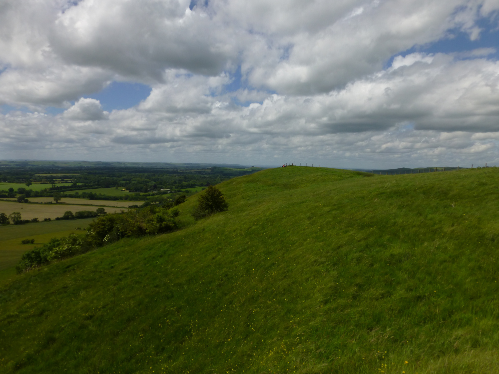 Image of Giant’s Grave (Martinsell) (Promontory Fort) by thesweetcheat