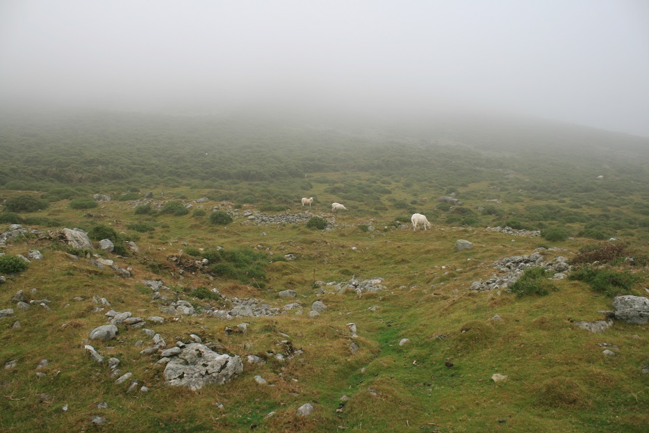 Image of Foel Dduarth (west) (Ancient Village / Settlement / Misc. Earthwork) by postman
