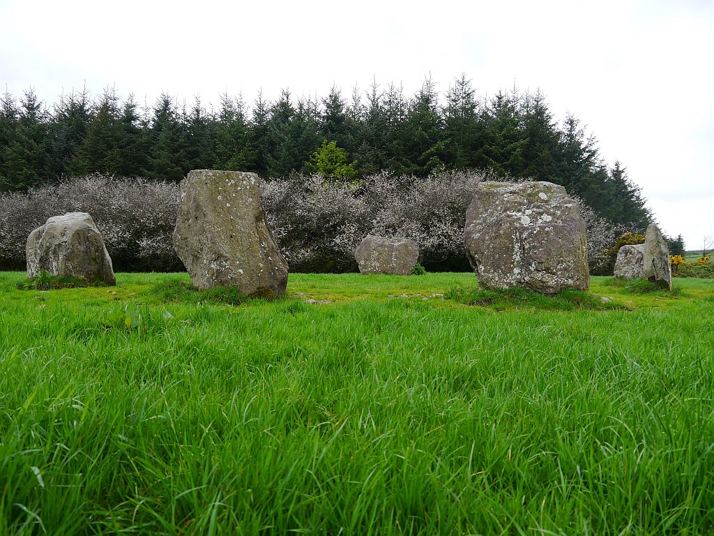 Image of Knocknaneirk SW (Stone Circle) by Meic