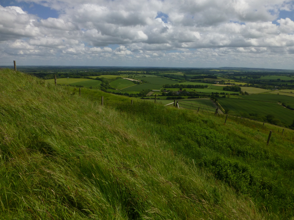 Image of Martinsell (Hillfort) by thesweetcheat