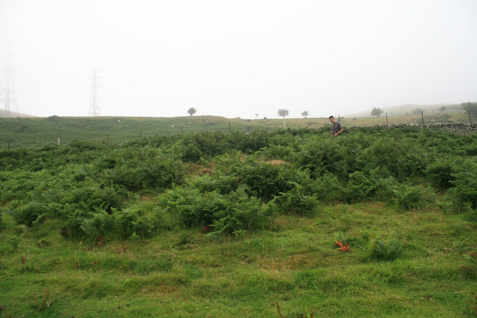 Image of Anafon Valley cairns (Cairn(s)) by postman